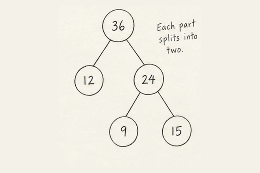 Branching illustrated in pencil.
